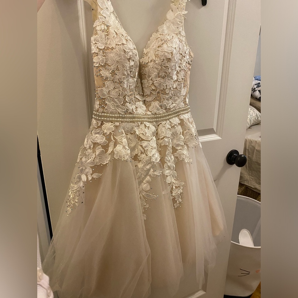 Dave and Johnny dress size 0